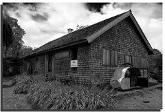 Le musée du Tamarin.