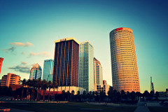 downtown tampa skyline