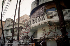 The Kid in an Orange Dress