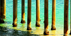 Brighton Pier Posts #Australia #dailyshoot