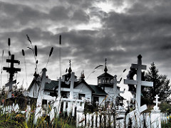 Road to Homer 8-26-14-184