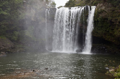 Rainbow Falls, Kerikeri