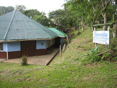 Cumpleaños en Leticia