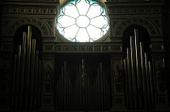 organ pipes
