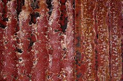 rusty roof