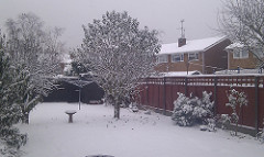 Snow over Blackwater