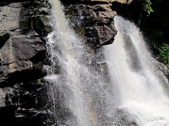 Blackwater Falls Blackwater State Park WV 8202