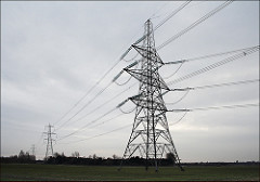 Reach Walk 12/10 (gf53)