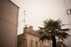 La Terra Trema24.jpg