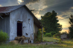 Photographers expand horizons in 2010 Army Digital Photography Contest 110311