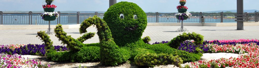 билеты на прямые рейсы в Анапу