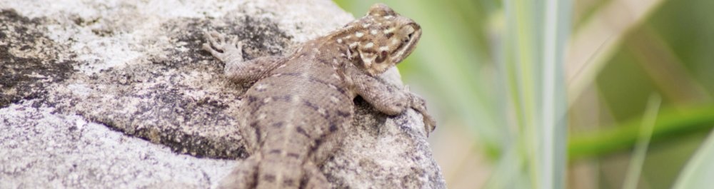 билеты на прямые рейсы в Абиджан