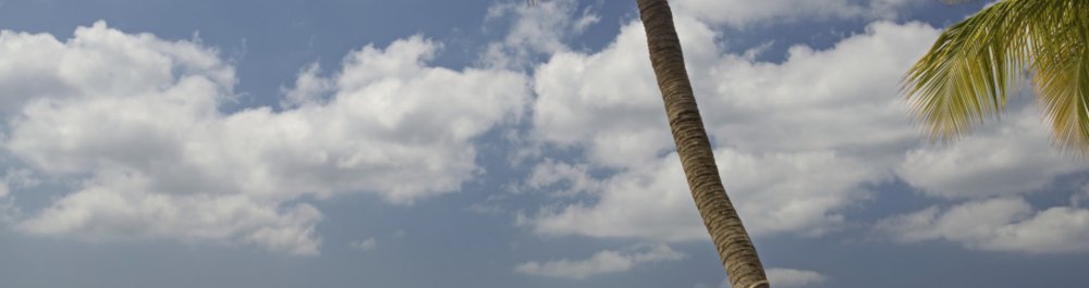 билеты на прямые рейсы в Арубу