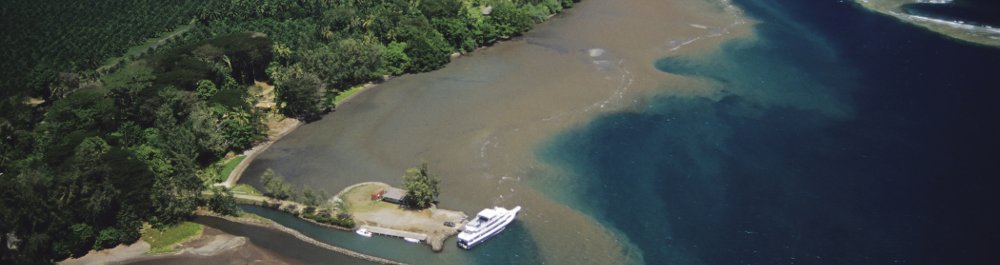 билеты на прямые рейсы в Биаллу