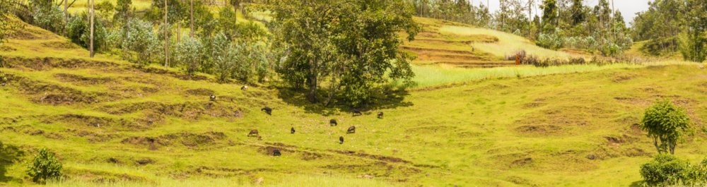 билеты на прямые рейсы в Джинку