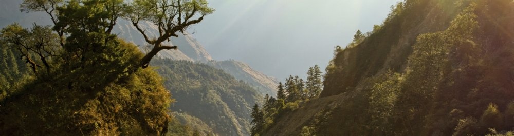 билеты на прямые рейсы в Бхаратпура