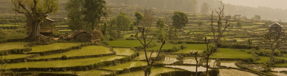 билеты на прямые рейсы в Биратнагара