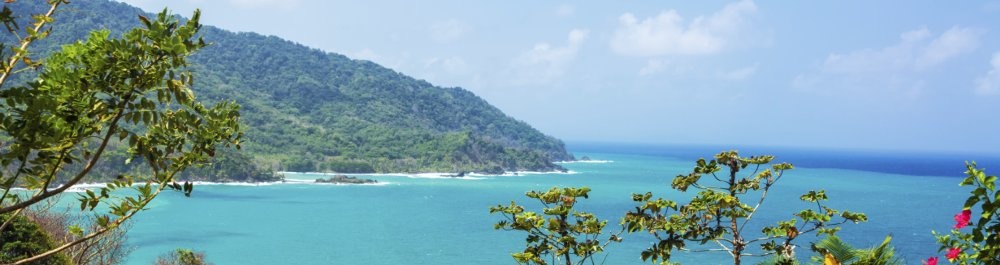 билеты на прямые рейсы в Бокас-дель-Торо