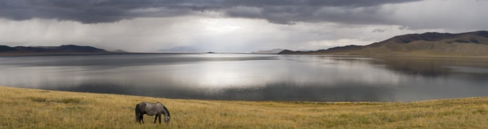 билеты на прямые рейсы в Баянхонгора