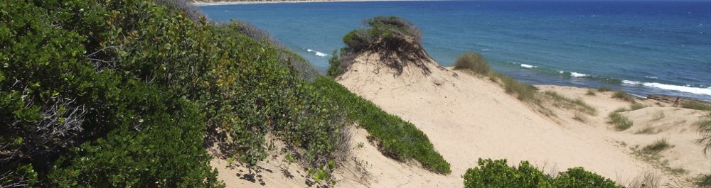 билеты на прямые рейсы в Илху до Базаруто