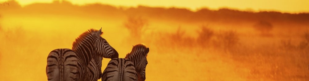 билеты на прямые рейсы в Чипату