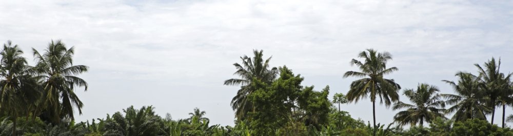 билеты на прямые рейсы в Конакри