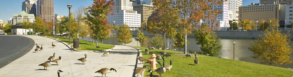 билеты на прямые рейсы в Колумбус