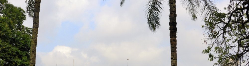 билеты на прямые рейсы в Дуалу