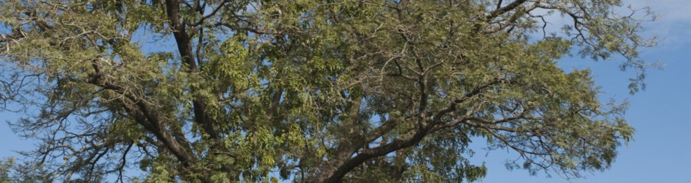 билеты на прямые рейсы в Енугу