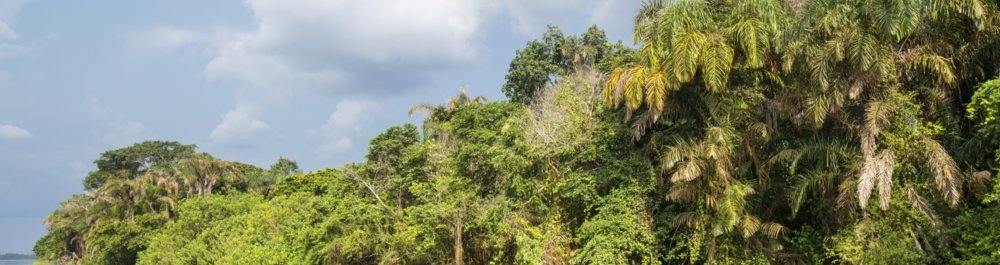 билеты на прямые рейсы в Кисангани