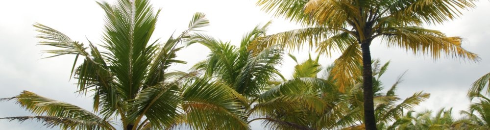 билеты на прямые рейсы в Гуанаху