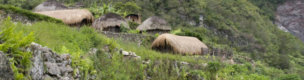 билеты на прямые рейсы в Гороку