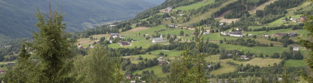 билеты на прямые рейсы в Гол