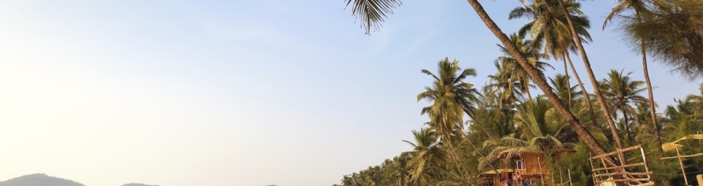 билеты на прямые рейсы в Гоа