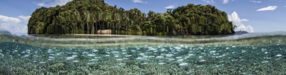 билеты на прямые рейсы в Алотау