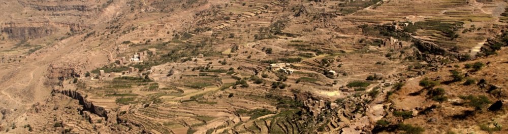 билеты на прямые рейсы в Сейюна