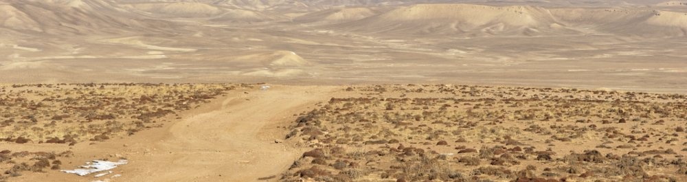 билеты на прямые рейсы в Герата