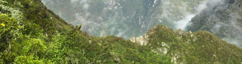 билеты на прямые рейсы в Икуитоса