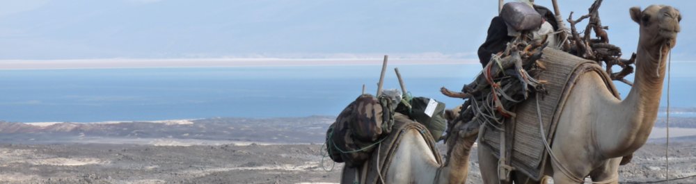 билеты на прямые рейсы в Джибути