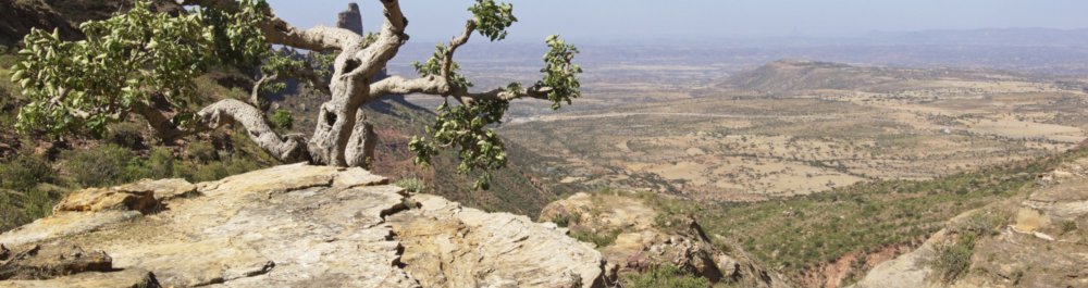 билеты на прямые рейсы в Джимму