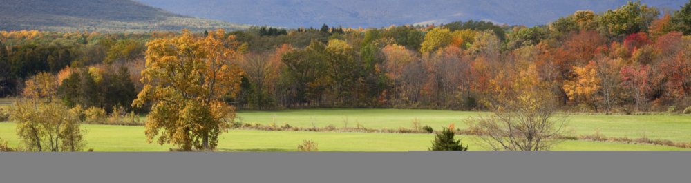 билеты на прямые рейсы в Ювяскюля