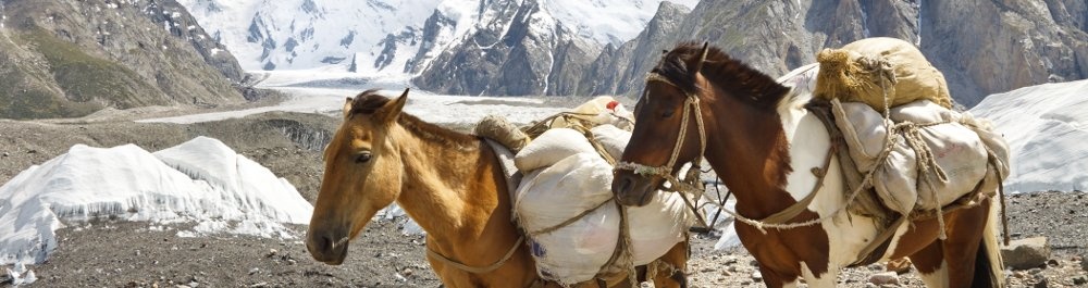 билеты на прямые рейсы в Скарду