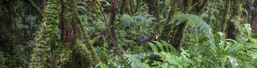 билеты на прямые рейсы в Канангу