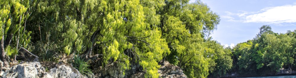 билеты на прямые рейсы в Косраэ