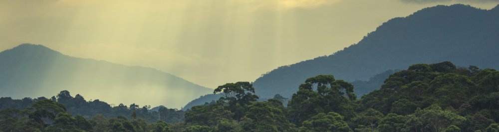 билеты на прямые рейсы в Ла Сейбу