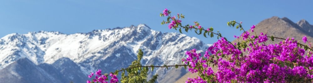 билеты на прямые рейсы в Ла Серену