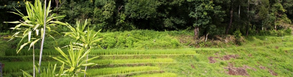 билеты на прямые рейсы в Лашио