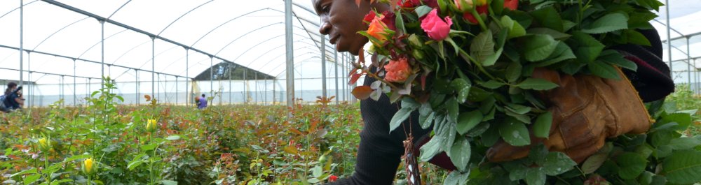 билеты на прямые рейсы в Лусаку