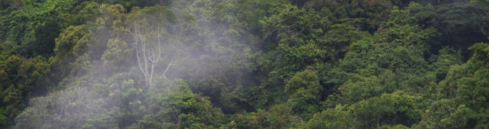 билеты на прямые рейсы в Мбандака