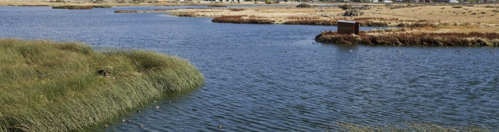 билеты на прямые рейсы в Мендосу